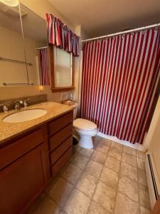 BridgtonTREMONT LIMIT 10 villa的一间带红色淋浴帘和卫生间的浴室