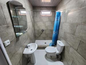 查克维Villa in Chakvi的浴室配有卫生间、盥洗盆和淋浴。