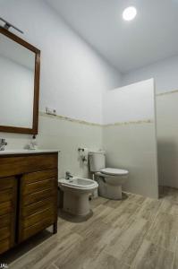 Ojuelos AltosCASA RURAL LOS ALTOS的一间带卫生间、水槽和镜子的浴室