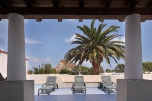 弗卡诺奥拉酒店的一组椅子和一棵棕榈树