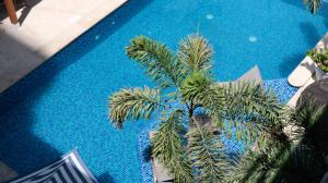 卡塔赫纳蓝色概念酒店的游泳池棕榈树的顶部景色