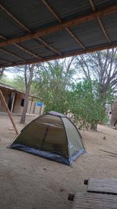 卡诺阿斯德蓬萨尔Camping Matufa Mancora的屋顶下的一个帐篷