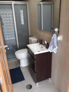 圣雅辛图The Ferry House的浴室配有卫生间、盥洗盆和淋浴。