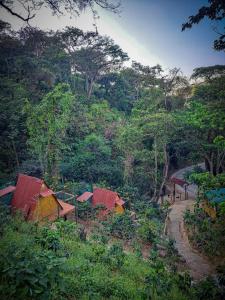 米卡ECO Cabin - TANOA Minca的森林中的一群小房子
