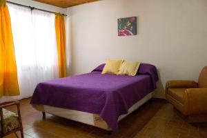 La ConsultaPosada La Teresita的一间卧室配有一张带紫色床单的床和窗户。
