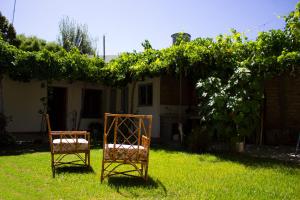 La ConsultaPosada La Teresita的两把椅子坐在房子前面的草上