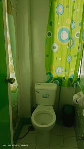 ItaytayUstaris Homestay的一间带卫生间和淋浴帘的浴室