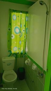ItaytayUstaris Homestay的一间带卫生间和淋浴帘的浴室