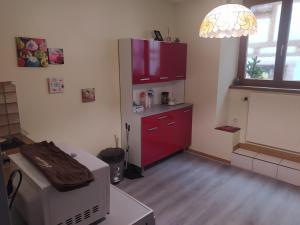 塞莱斯塔chey MYBAM, agréable maison au centre de Sélestat的一间厨房,配有红色橱柜和红色柜台