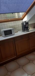 Appartement "Toni"的厨房的台面上有一个微波炉