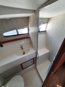 BazollesMagnifique bateau au coeur du Nivernais à l'étang de BAYE的一间带水槽和淋浴的小浴室
