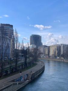 维也纳Lion`s Rooms n Apartments的城市中一座有建筑背景的河流