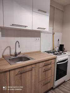 考波什堡Baross apartman的厨房配有水槽和炉灶