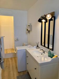 蒙贝利亚尔Appartement avec terrasse et parking gratuit accolé的一间带水槽和镜子的浴室