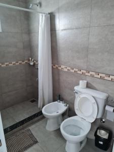 孙查莱斯Del Sur Alquiler temporario的一间带卫生间和淋浴的浴室