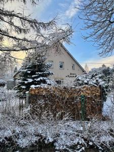 卡尔帕奇Domek w Karkonoszach的围栏前的雪覆盖着房子