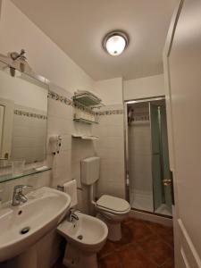 陶尔米纳德格利阿格鲁米住宿酒店的一间带水槽、卫生间和淋浴的浴室