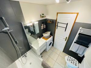 梅塔比耶Au Doubs Village的带淋浴、卫生间和盥洗盆的浴室