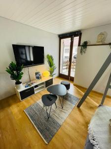 梅塔比耶Au Doubs Village的客厅配有2把椅子和平面电视