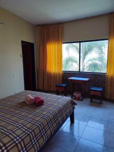 卡诺阿La Casa Ucraniana的一间卧室配有一张床、一张桌子和一个窗户。