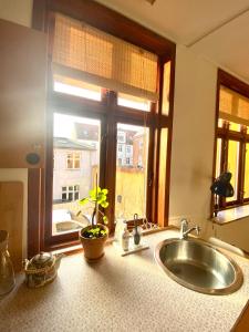 兰讷斯En hel lejlighed i midtbyen - centralt, hyggelig og tæt på alt!的一个带水槽的厨房和一个种植了植物的窗户