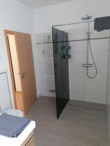 海尔巴德海利根斯塔特Chill-out的带淋浴的浴室和玻璃门