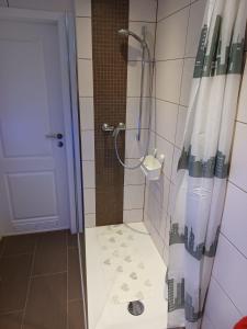 巴登-巴登H&A Apartment Baden Baden的浴室里设有玻璃门淋浴