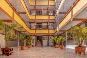 KaratinaDad's Place的大楼内种植了棕榈树的大型走廊