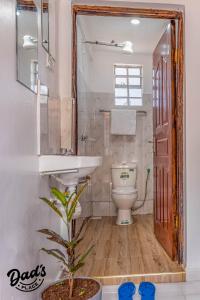 KaratinaDad's Place的一间带水槽和卫生间的浴室