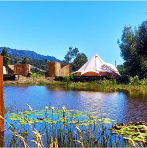 莱瓦镇Glampwild Zaquencipa的池塘中央的帐篷,有百合花