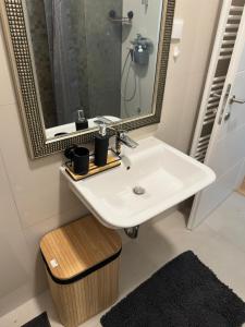 奥西耶克City Rent 1的浴室设有白色水槽和镜子