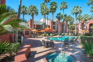休斯顿LuxCation At Med Center Free Parking & WIFI的一个带游泳池、椅子和棕榈树的度假村