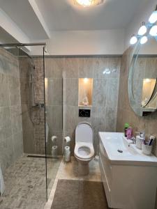 锡纳亚Springbok - Sinaia的浴室配有卫生间、淋浴和盥洗盆。
