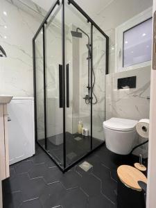 雅典ATH-Brand new 2bedroom apartment的一间带玻璃淋浴和卫生间的浴室