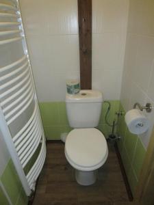 Horní VltaviceChalupa Annenské stráně的浴室设有白色卫生间和卫生纸卷