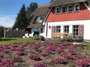 维克Landhaus Kranichblick的一座花园,在房子前面种有紫色的花朵