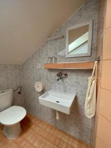 卢德维克夫灰熊旅馆的一间带水槽、卫生间和镜子的浴室