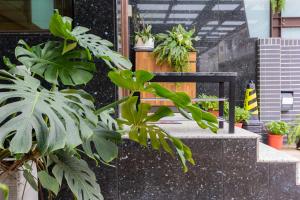 花莲市停伫宿旅的绿色植物,旁边是种有植物的黑长凳