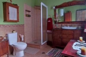 Casa Elvira的浴室配有卫生间、淋浴和盥洗盆。