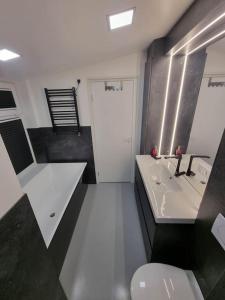 Lakstīgalas的一间带水槽、卫生间和镜子的浴室