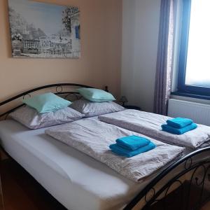 瓦恩斯多夫Apartmán u Javorů的一间卧室配有两张床和蓝色毛巾。