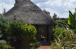 RwinkwavuRutete Eco Lodge的花园中带茅草屋顶的小小屋