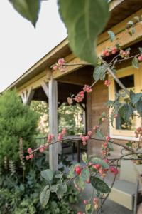 BenningbroekChalet Ben in Broek的一座房子前面的植物,花粉红色