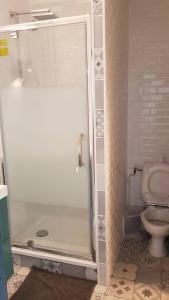 圣艾蒂安Le Viva的带淋浴和卫生间的浴室