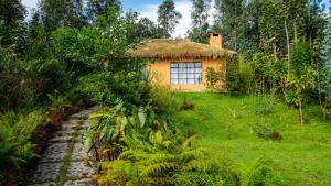 KinigiSambora Kinigi的花园中带草屋顶的小房子