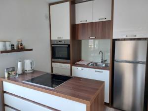 萨拉热窝Apartman Kovaci的一间带不锈钢冰箱的小厨房