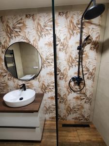 伊钦Nový apartman Eva的浴室设有水槽和墙上的镜子