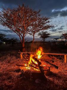 安博塞利Amboseli Cultural Camping的林地里的火坑