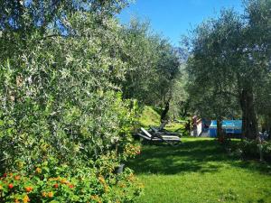 利莫内-苏尔加达Appartamenti Helios的草丛中树木和长凳的公园