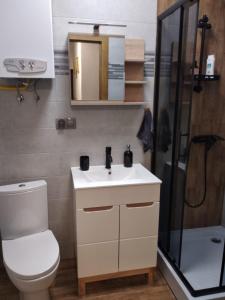 扎维尔切Apartament Gustav的浴室配有卫生间、盥洗盆和淋浴。